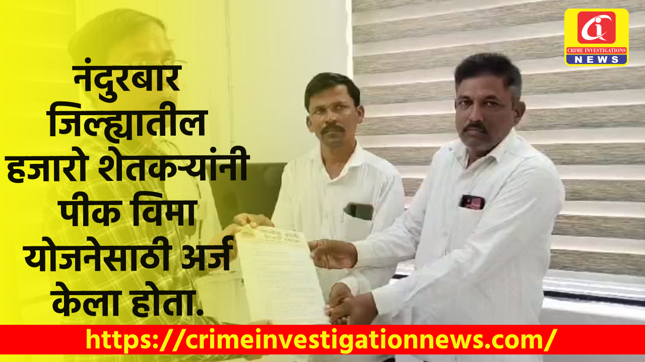 नंदुरबार जिल्ह्यातील हजारो शेतकऱ्यांनी पीक विमा योजनेसाठी अर्ज केला होता.