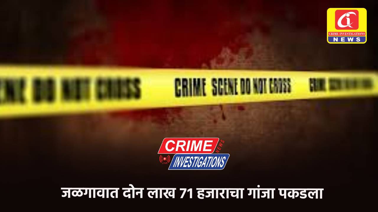 जळगावात दोन लाख ७१ हजाराचा गांजा पकडला