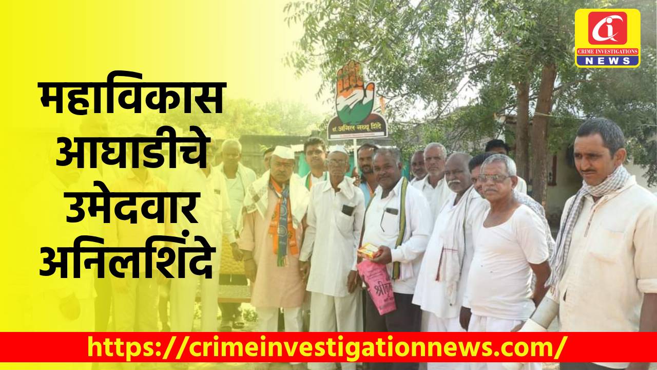 महाविकास आघाडीचे उमेदवारअनिल शिंदे 