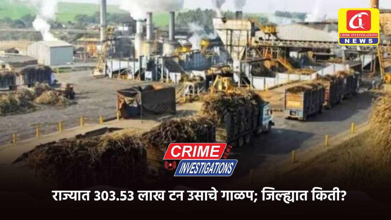 राज्यात ३०३.५३ लाख टन उसाचे गाळप; जिल्ह्यात किती?