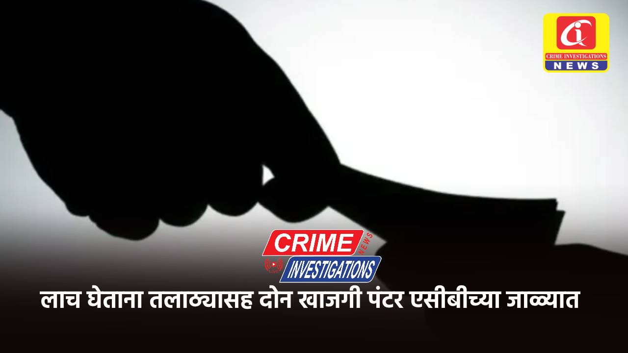 लाच घेताना तलाठ्यासह दोन खाजगी पंटर एसीबीच्या जाळ्यात