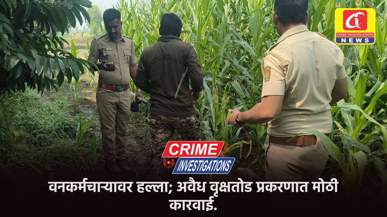 वनकर्मचाऱ्यावर हल्ला; अवैध वृक्षतोड प्रकरणात मोठी कारवाई.