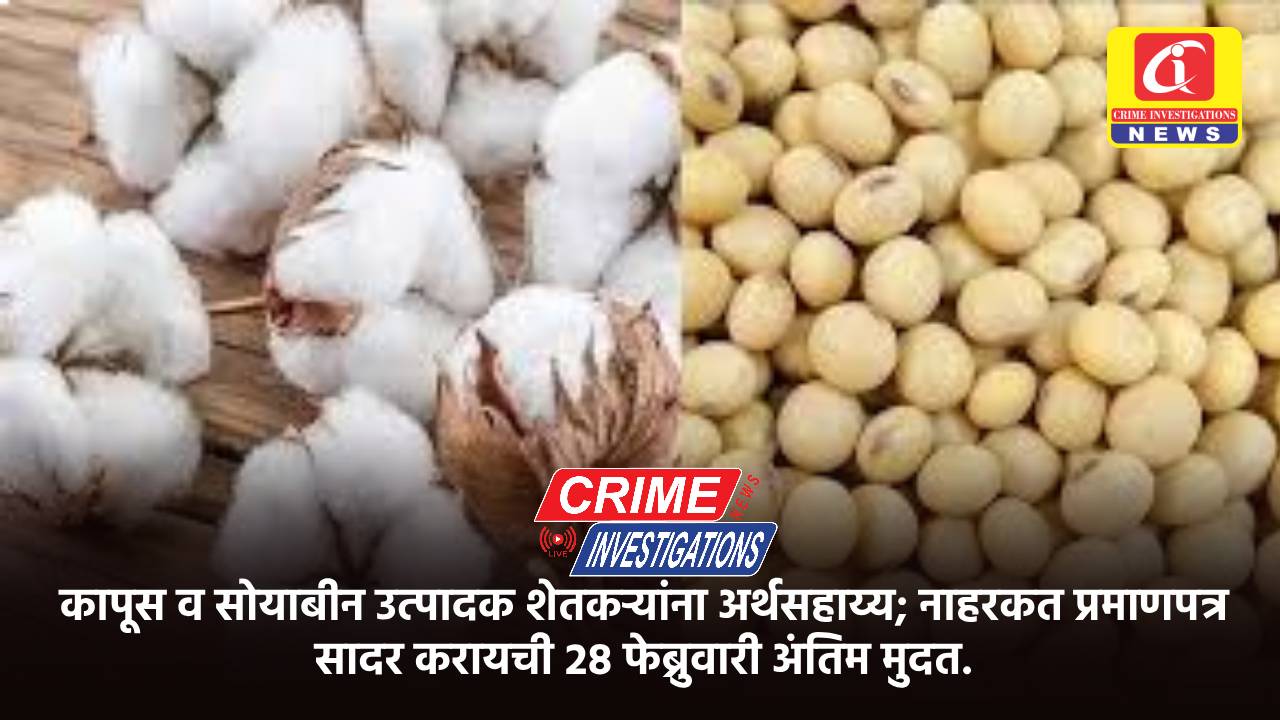 कापूस व सोयाबीन उत्पादक शेतकऱ्यांना अर्थसहाय्य; नाहरकत प्रमाणपत्र सादर करायची २८ फेब्रुवारी अंतिम मुदत.