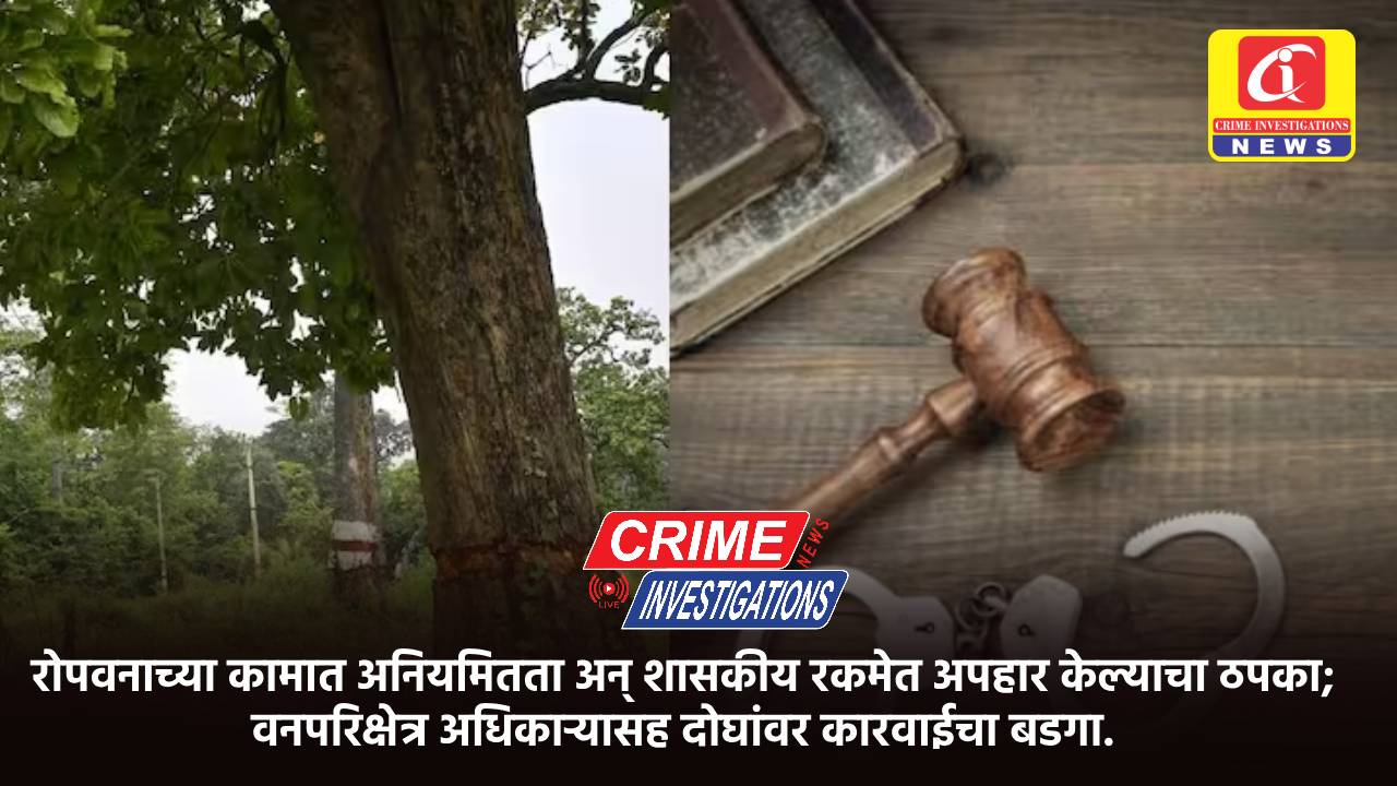 रोपवनाच्या कामात अनियमितता अन् शासकीय रकमेत अपहार केल्याचा ठपका; वनपरिक्षेत्र अधिकार्‍यासह दोघांवर कारवाईचा बडगा.