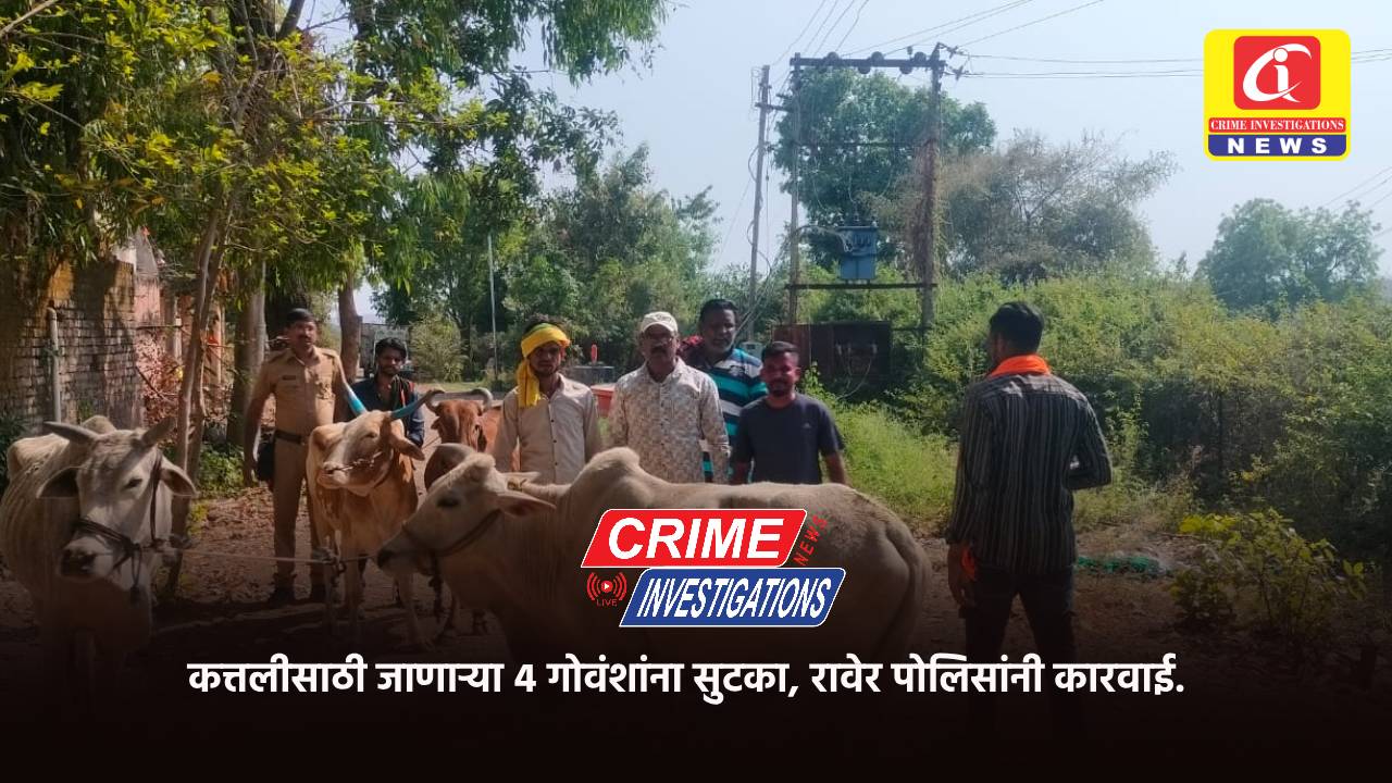 कत्तलीसाठी जाणाऱ्या ४ गोवंशांना सुटका, रावेर पोलिसांनी कारवाई.