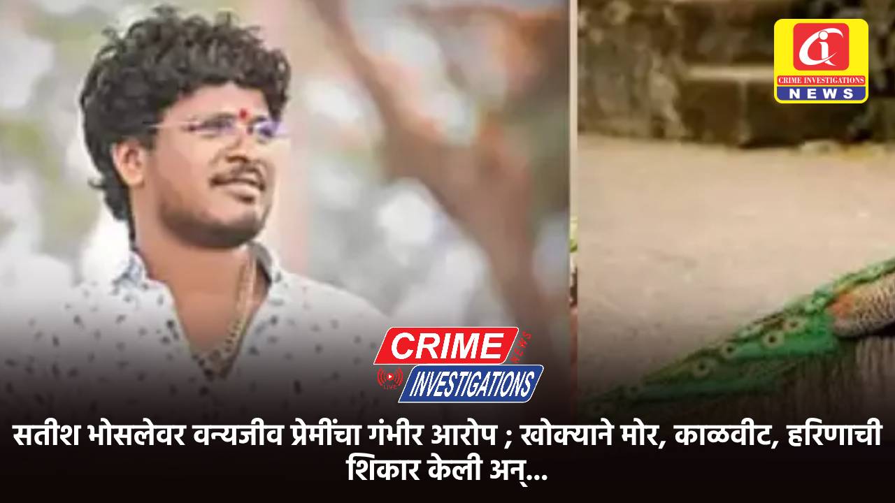 सतीश भोसलेवर वन्यजीव प्रेमींचा गंभीर आरोप ; खोक्याने मोर, काळवीट, हरिणाची शिकार केली अन्…