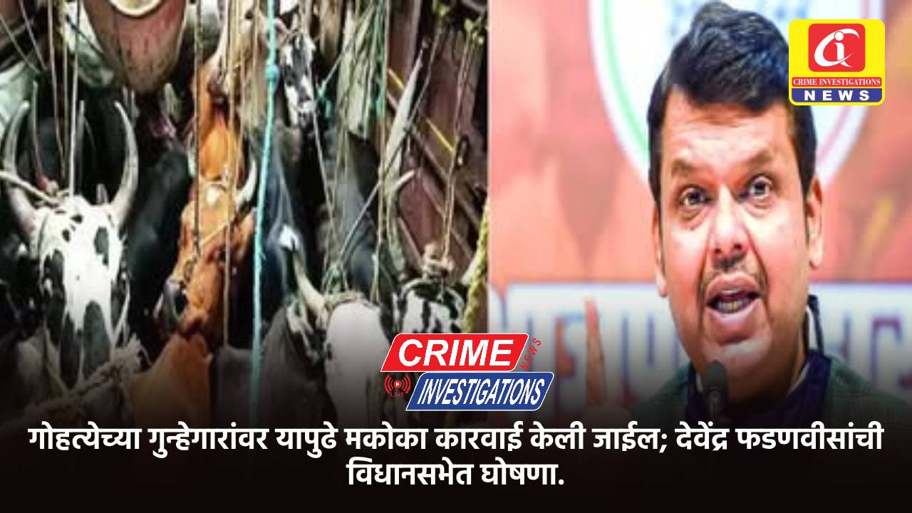 गोहत्येच्या गुन्हेगारांवर यापुढे मकोका कारवाई केली जाईल; देवेंद्र फडणवीसांची विधानसभेत घोषणा.