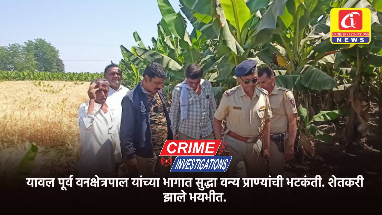 यावल पूर्व वनक्षेत्रपाल यांच्या भागात सुद्धा वन्य प्राण्यांची भटकंती. शेतकरी झाले भयभीत.