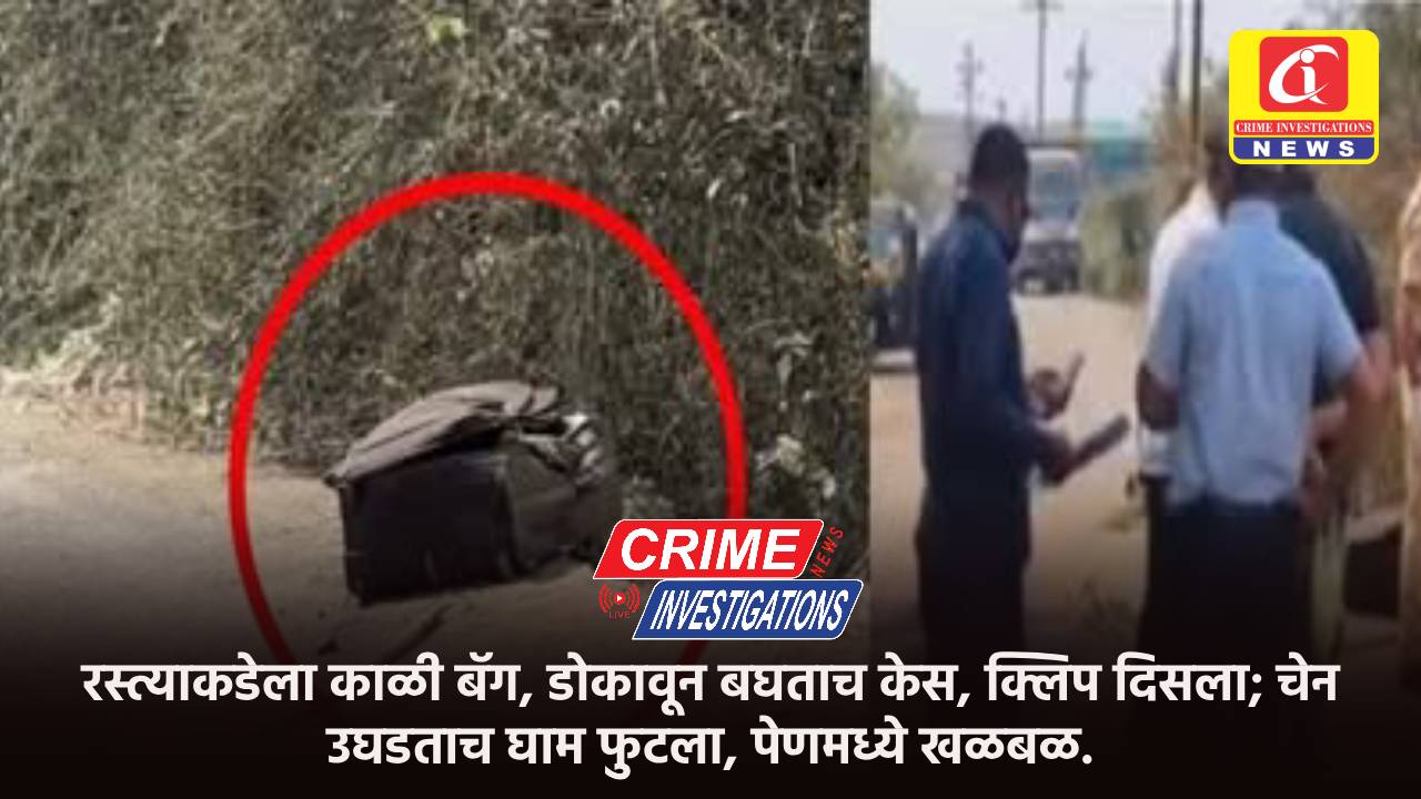 रस्त्याकडेला काळी बॅग, डोकावून बघताच केस, क्लिप दिसला; चेन उघडताच घाम फुटला, पेणमध्ये खळबळ.