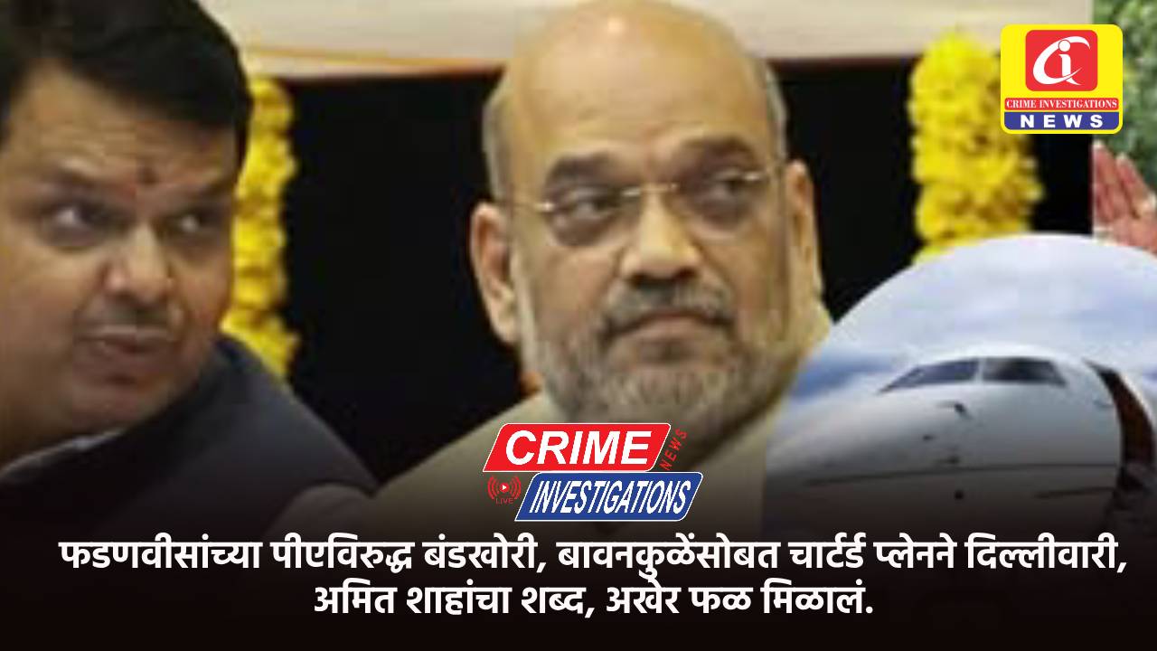 फडणवीसांच्या पीएविरुद्ध बंडखोरी, बावनकुळेंसोबत चार्टर्ड प्लेनने दिल्लीवारी, अमित शाहांचा शब्द, अखेर फळ मिळालं.