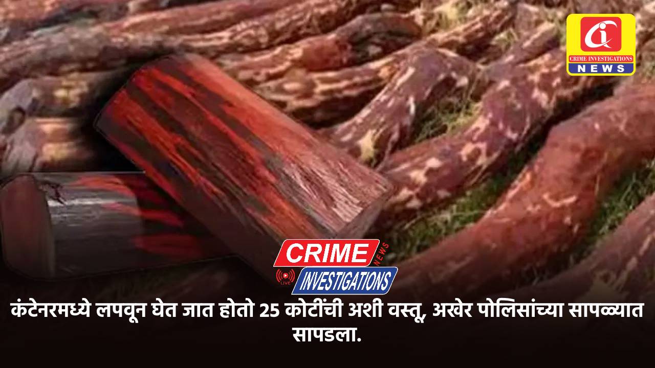 कंटेनरमध्ये लपवून घेत जात होतो 25 कोटींची अशी वस्तू, अखेर पोलिसांच्या सापळ्यात सापडला.