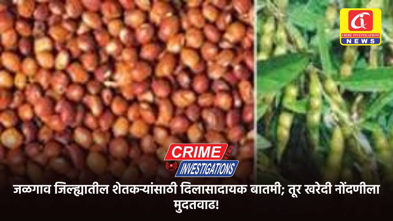 जळगाव जिल्ह्यातील शेतकऱ्यांसाठी दिलासादायक बातमी; तूर खरेदी नोंदणीला मुदतवाढ!