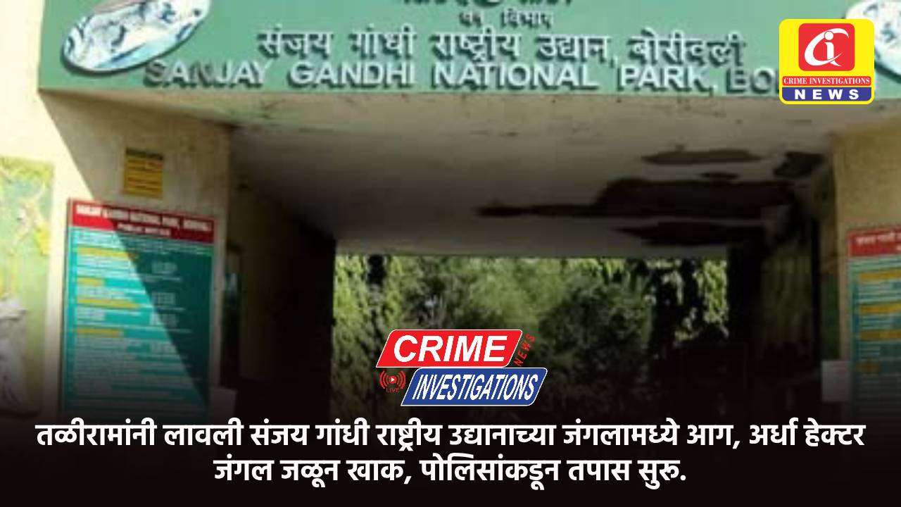 तळीरामांनी लावली संजय गांधी राष्ट्रीय उद्यानाच्या जंगलामध्ये आग, अर्धा हेक्टर जंगल जळून खाक, पोलिसांकडून तपास सुरू.
