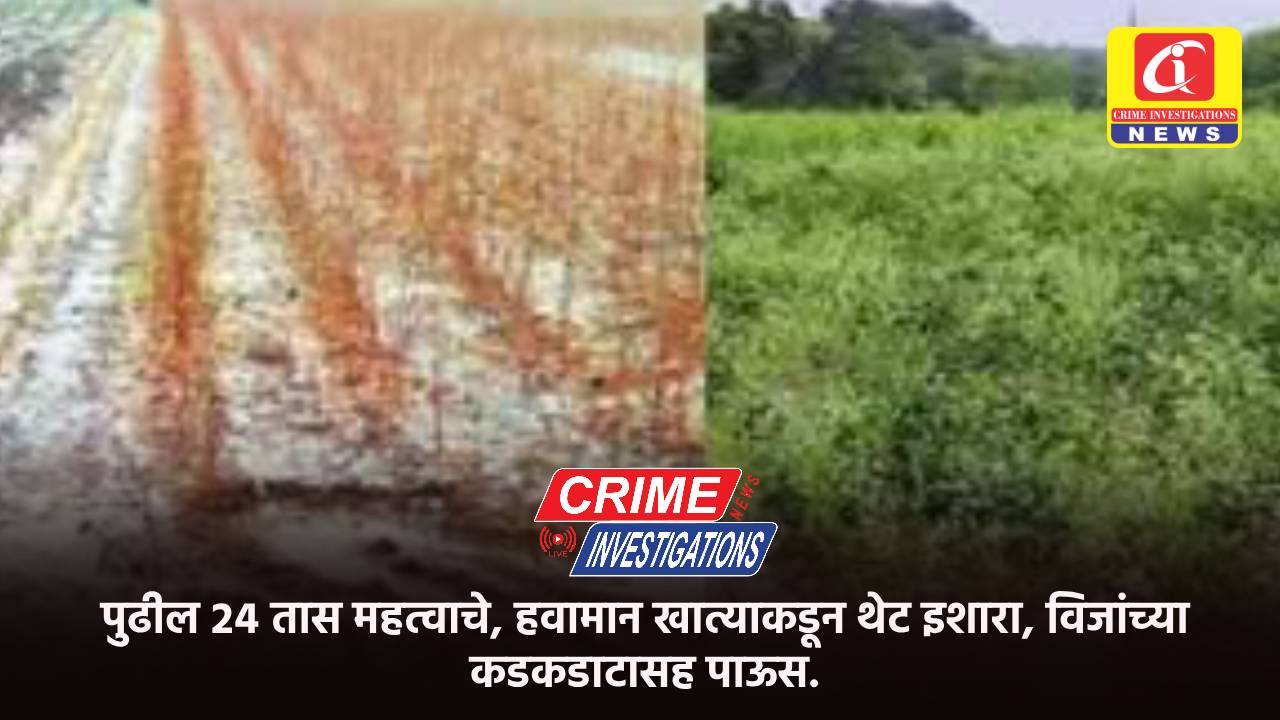 पुढील २४ तास महत्वाचे, हवामान खात्याकडून थेट इशारा, विजांच्या कडकडाटासह पाऊस.