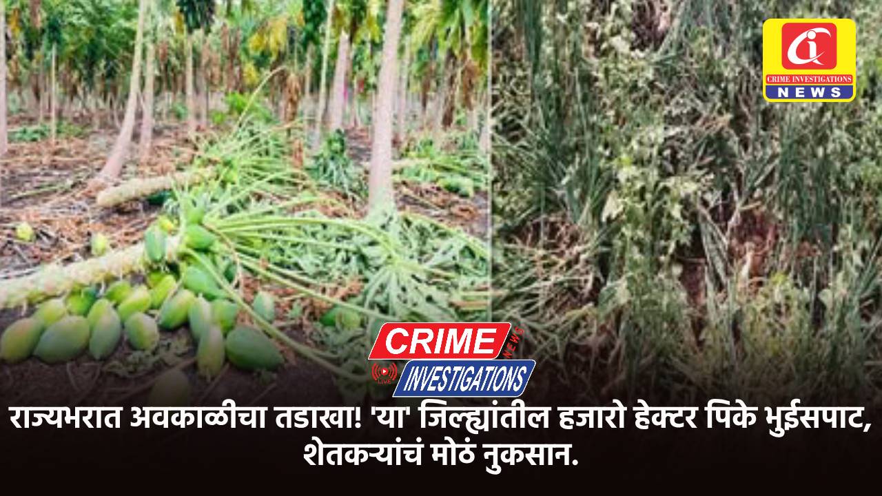 राज्यभरात अवकाळीचा तडाखा! ‘या’ जिल्ह्यांतील हजारो हेक्टर पिके भुईसपाट, शेतकऱ्यांचं मोठं नुकसान.