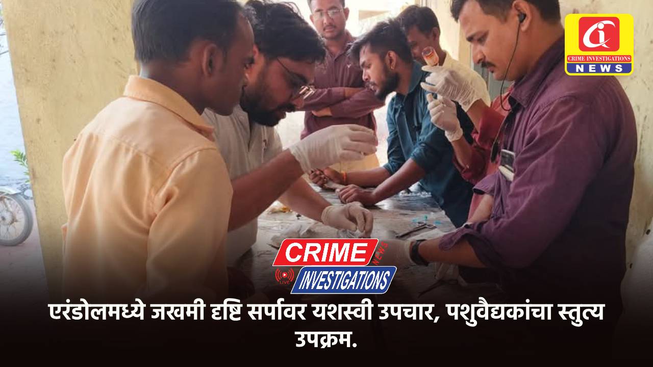 एरंडोलमध्ये जखमी दृष्टि सर्पावर यशस्वी उपचार, पशुवैद्यकांचा स्तुत्य उपक्रम.