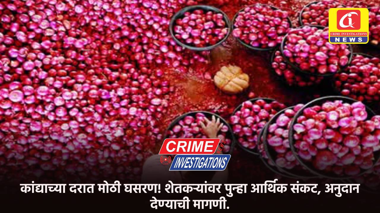 कांद्याच्या दरात मोठी घसरण! शेतकऱ्यांवर पुन्हा आर्थिक संकट, अनुदान देण्याची मागणी.