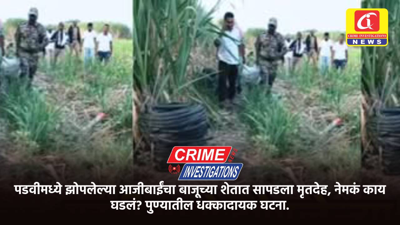 पडवीमध्ये झोपलेल्या आजीबाईंचा बाजूच्या शेतात सापडला मृतदेह, नेमकं काय घडलं? पुण्यातील धक्कादायक घटना.