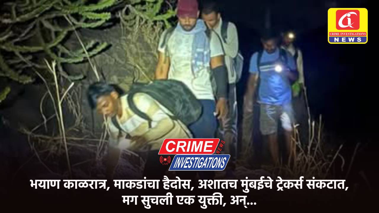 भयाण काळरात्र, माकडांचा हैदोस, अशातच मुंबईचे ट्रेकर्स संकटात, मग सुचली एक युक्ती, अन्…