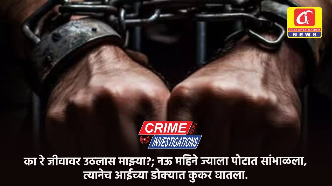 का रे जीवावर उठलास माझ्या?; नऊ महिने ज्याला पोटात सांभाळला, त्यानेच आईच्या डोक्यात कुकर घातला.