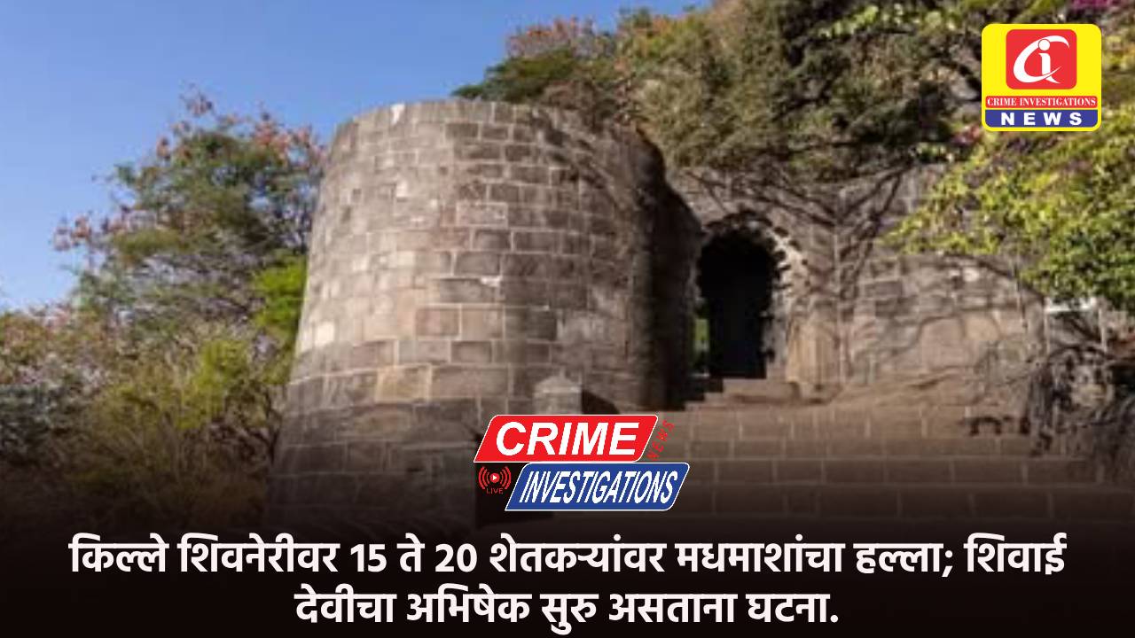 किल्ले शिवनेरीवर १५ ते २० शेतकऱ्यांवर मधमाशांचा हल्ला; शिवाई देवीचा अभिषेक सुरु असताना घटना.