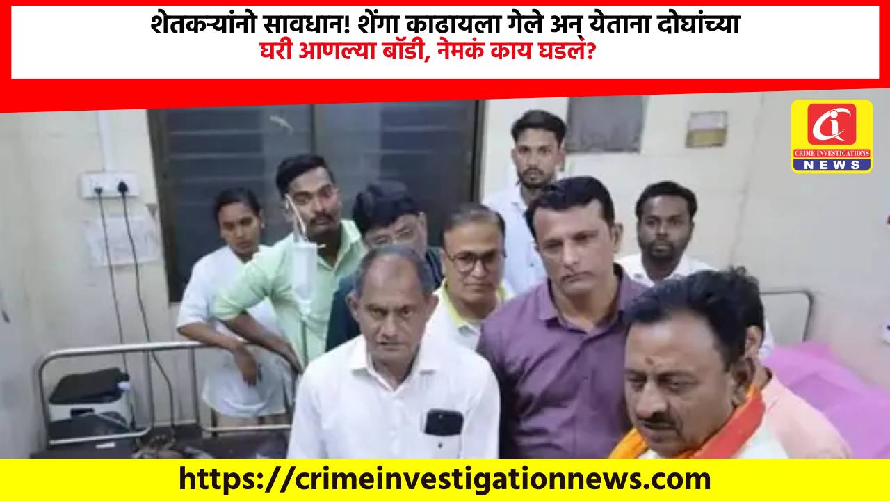 शेतकऱ्यांनो सावधान! शेंगा काढायला गेले अन् येताना दोघांच्या घरी आणल्या बॉडी, नेमकं काय घडलं?