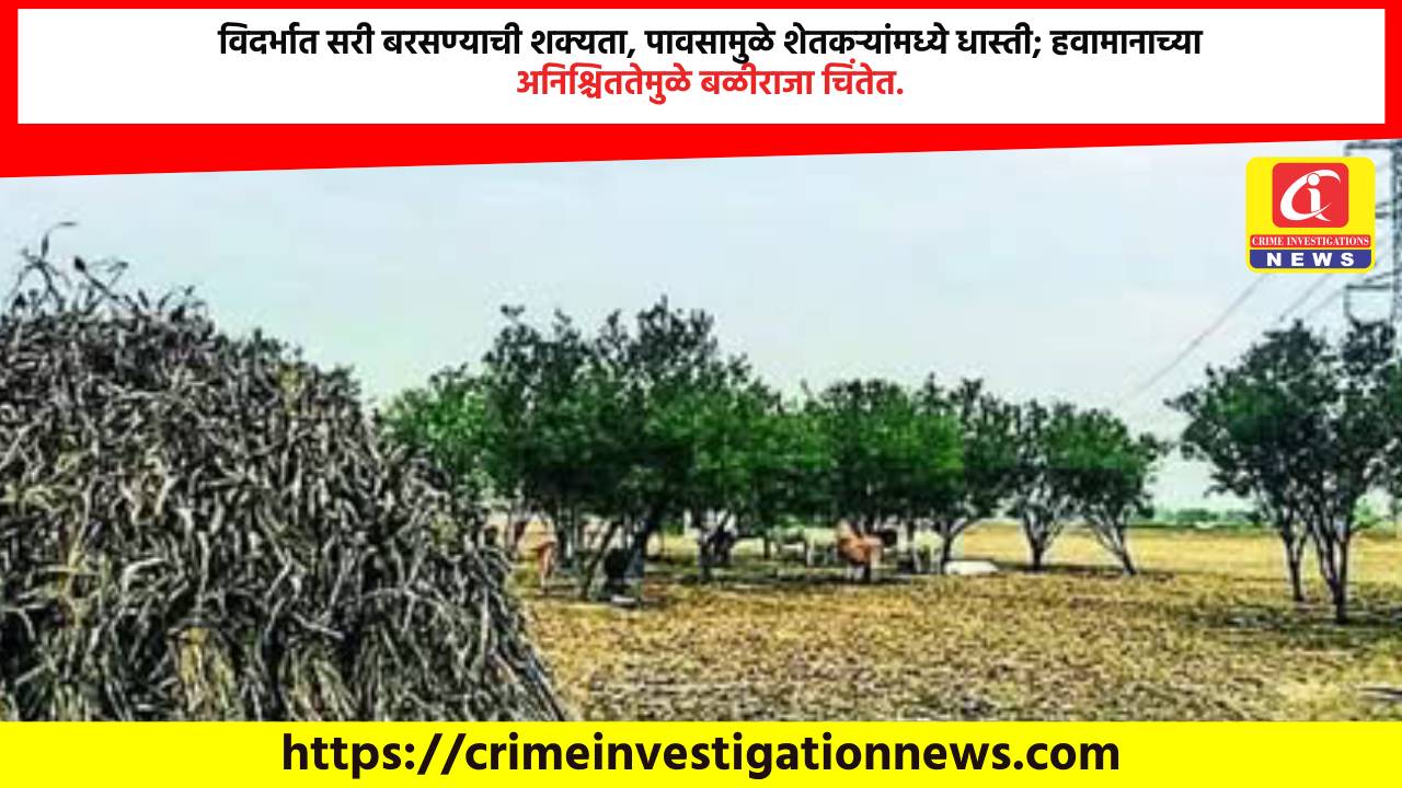 विदर्भात सरी बरसण्याची शक्यता, पावसामुळे शेतकऱ्यांमध्ये धास्ती; हवामानाच्या अनिश्चिततेमुळे बळीराजा चिंतेत.