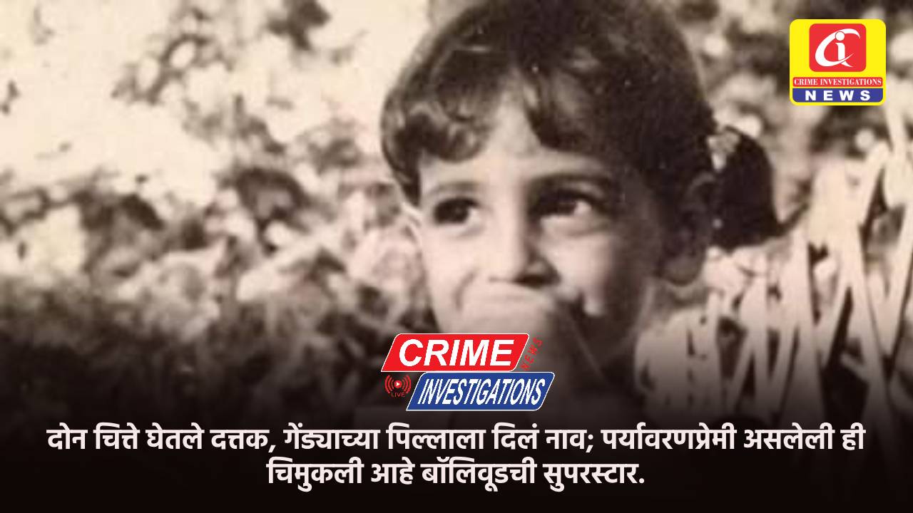 दोन चित्ते घेतले दत्तक, गेंड्याच्या पिल्लाला दिलं नाव; पर्यावरणप्रेमी असलेली ही चिमुकली आहे बॉलिवूडची सुपरस्टार.