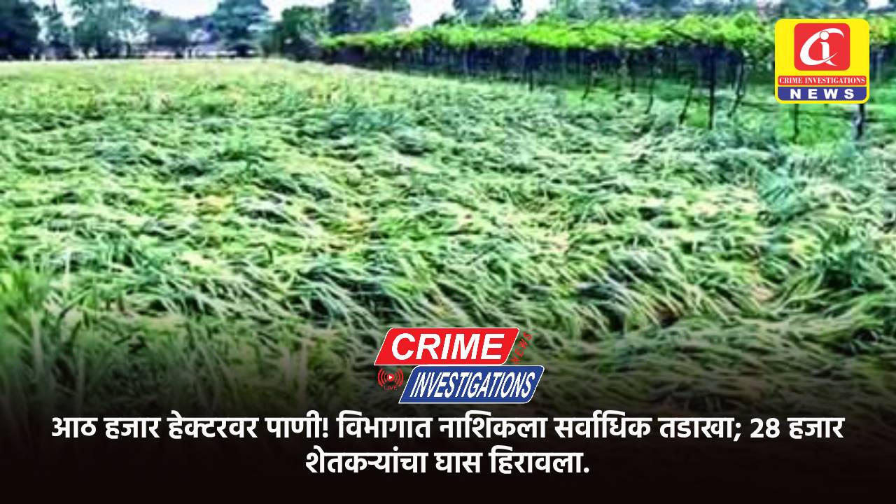 आठ हजार हेक्टरवर पाणी! विभागात नाशिकला सर्वाधिक तडाखा; २८ हजार शेतकऱ्यांचा घास हिरावला.