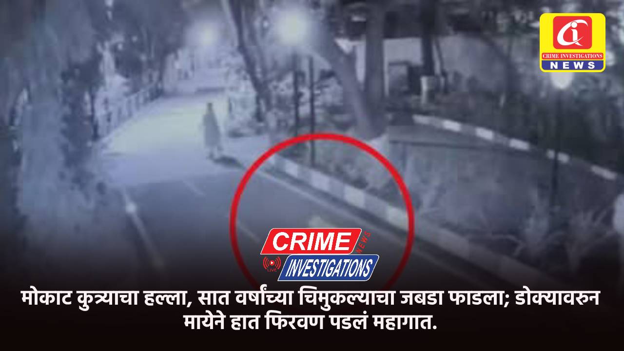 मोकाट कुत्र्याचा हल्ला, सात वर्षांच्या चिमुकल्याचा जबडा फाडला; डोक्यावरुन मायेने हात फिरवण पडलं महागात.