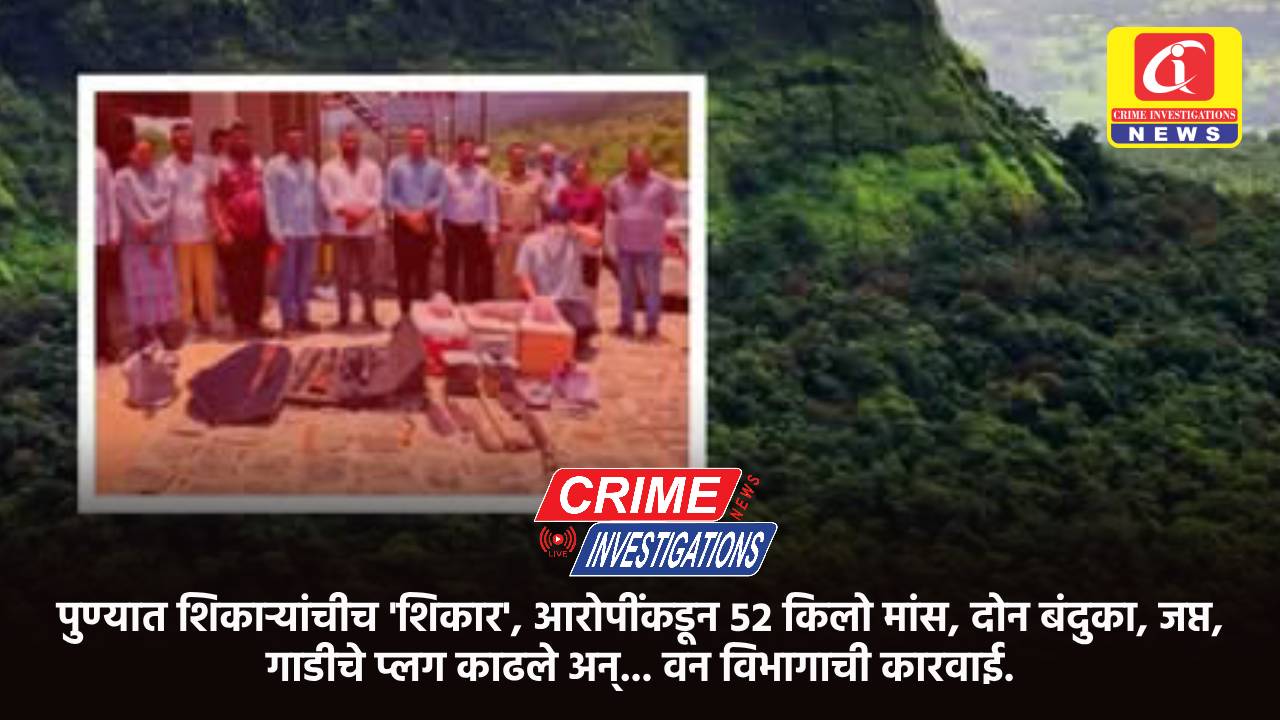 पुण्यात शिकाऱ्यांचीच ‘शिकार’, आरोपींकडून ५२ किलो मांस, दोन बंदुका, जप्त, गाडीचे प्लग काढले अन्… वन विभागाची कारवाई.