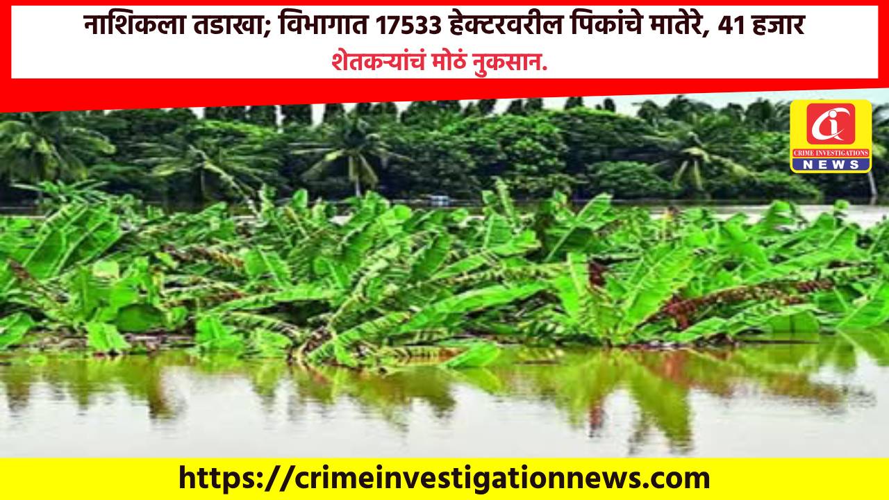 नाशिकला तडाखा; विभागात १७५३३ हेक्टरवरील पिकांचे मातेरे, ४१ हजार शेतकऱ्यांचं मोठं नुकसान.