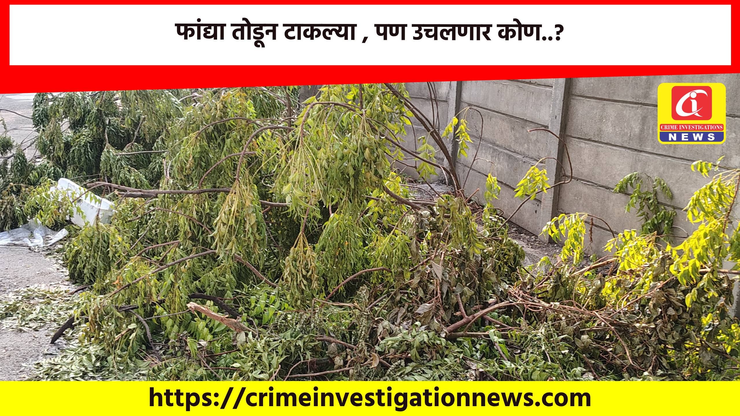 फांद्या तोडून टाकल्या , पण उचलणार कोण..?