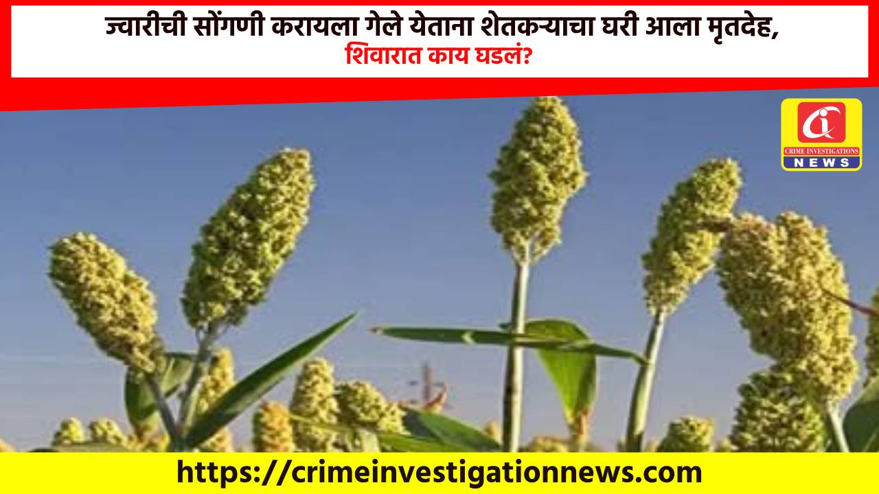 ज्वारीची सोंगणी करायला गेले येताना शेतकऱ्याचा घरी आला मृतदेह, शिवारात काय घडलं?