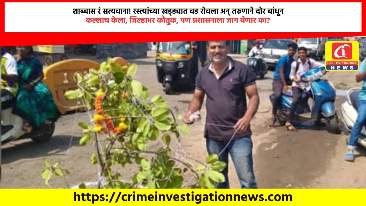 शाब्बास रं सत्यवाना! रस्त्यांच्या खड्ड्यात वड रोवला अन् तरुणाने दोर बांधून कल्लाच केला, जिल्हाभर कौतुक, पण प्रशासनाला जाग येणार का?