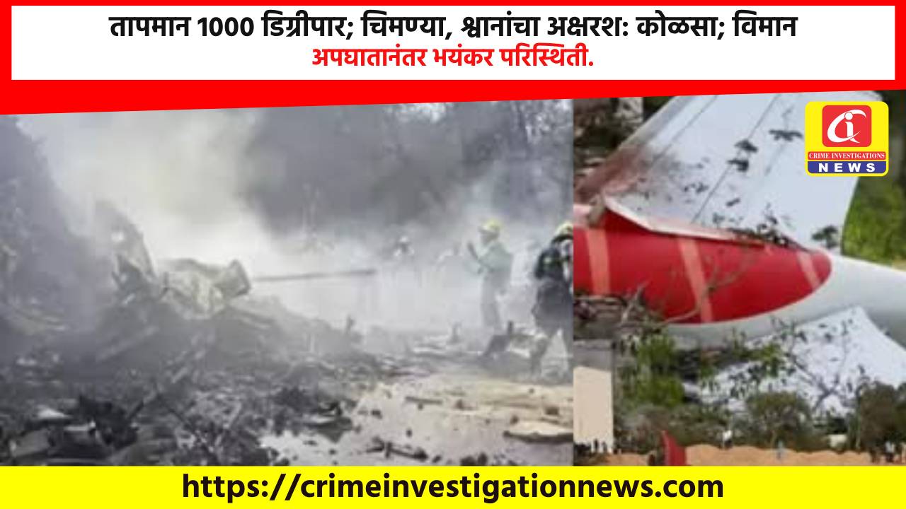 तापमान 1000 डिग्रीपार; चिमण्या, श्वानांचा अक्षरश: कोळसा; विमान अपघातानंतर भयंकर परिस्थिती.