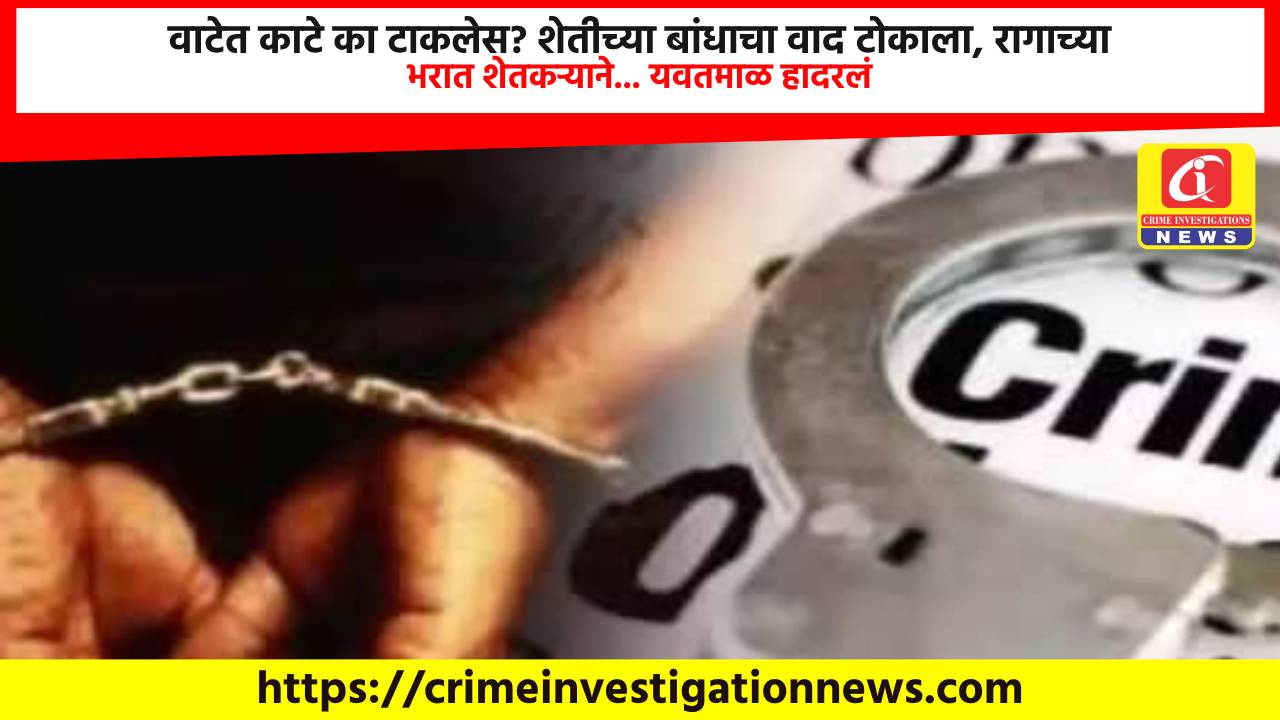 वाटेत काटे का टाकलेस? शेतीच्या बांधाचा वाद टोकाला, रागाच्या भरात शेतकऱ्याने… यवतमाळ हादरलं.