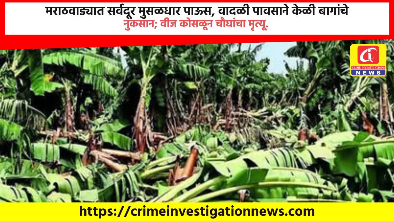 मराठवाड्यात सर्वदूर मुसळधार पाऊस, वादळी पावसाने केळी बागांचे नुकसान; वीज कोसळून चौघांचा मृत्यू.