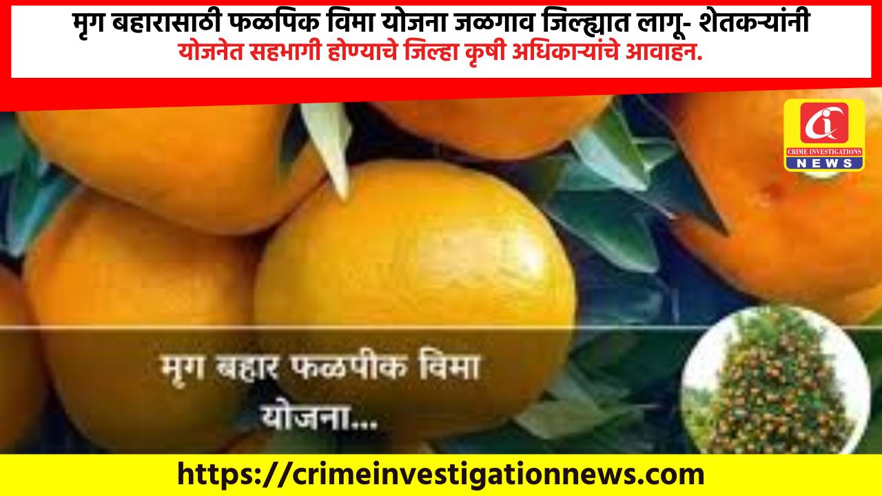 मृग बहारासाठी फळपिक विमा योजना जळगाव जिल्ह्यात लागू- शेतकऱ्यांनी योजनेत सहभागी होण्याचे जिल्हा कृषी अधिकाऱ्यांचे आवाहन.