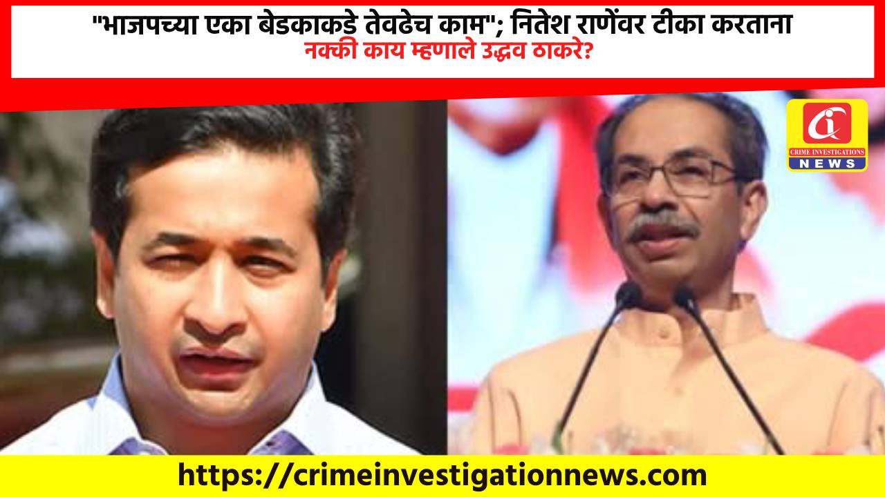 “भाजपच्या एका बेडकाकडे तेवढेच काम”; नितेश राणेंवर टीका करताना नक्की काय म्हणाले उद्धव ठाकरे?