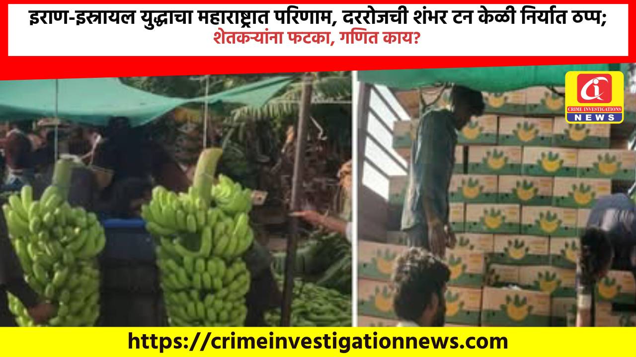 इराण-इस्रायल युद्धाचा महाराष्ट्रात परिणाम, दररोजची शंभर टन केळी निर्यात ठप्प; शेतकऱ्यांना फटका, गणित काय?