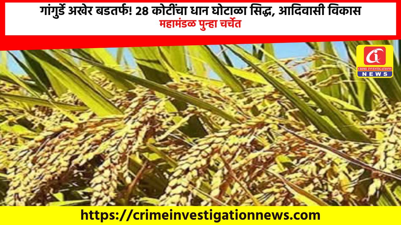 गांगुर्डे अखेर बडतर्फ! २८ कोटींचा धान घोटाळा सिद्ध, आदिवासी विकास महामंडळ पुन्हा चर्चेत.
