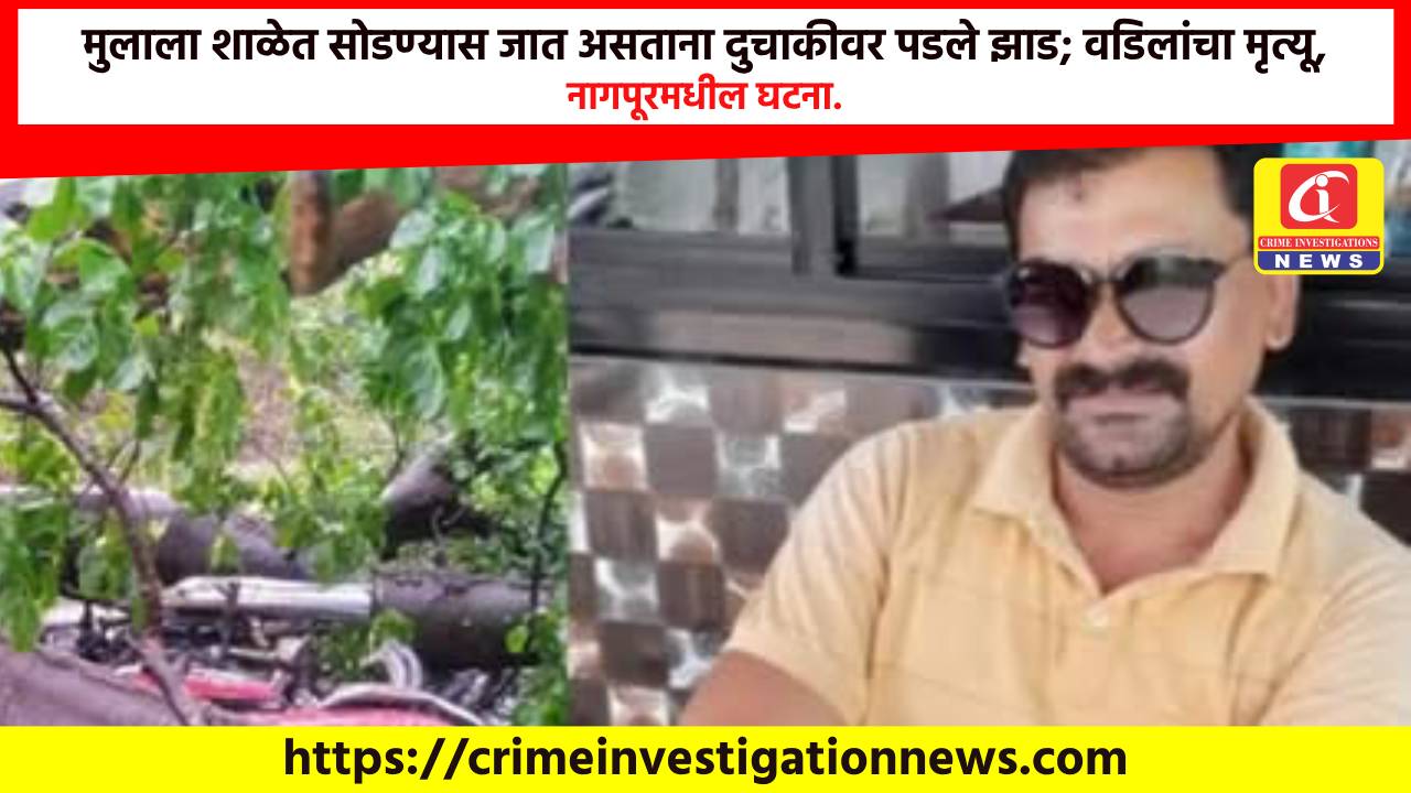 मुलाला शाळेत सोडण्यास जात असताना दुचाकीवर पडले झाड; वडिलांचा मृत्यू, नागपूरमधील घटना.