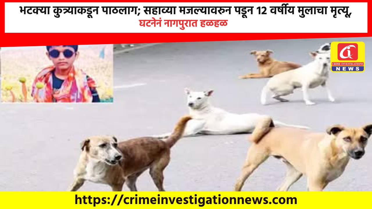 भटक्या कुत्र्याकडून पाठलाग; सहाव्या मजल्यावरुन पडून १२ वर्षीय मुलाचा मृत्यू, घटनेनं नागपुरात हळहळ.