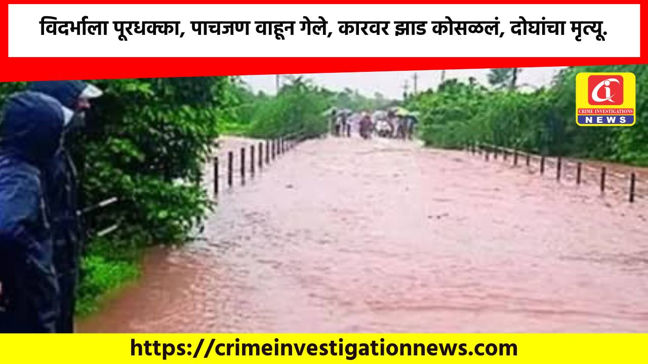 विदर्भाला पूरधक्का, पाचजण वाहून गेले, कारवर झाड कोसळलं, दोघांचा मृत्यू.