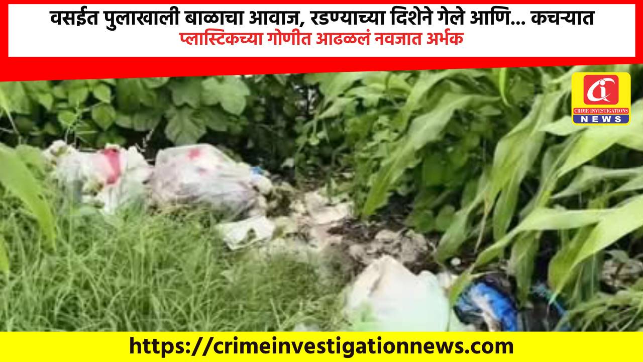 वसईत पुलाखाली बाळाचा आवाज, रडण्याच्या दिशेने गेले आणि… कचऱ्यात प्लास्टिकच्या गोणीत आढळलं नवजात अर्भक.