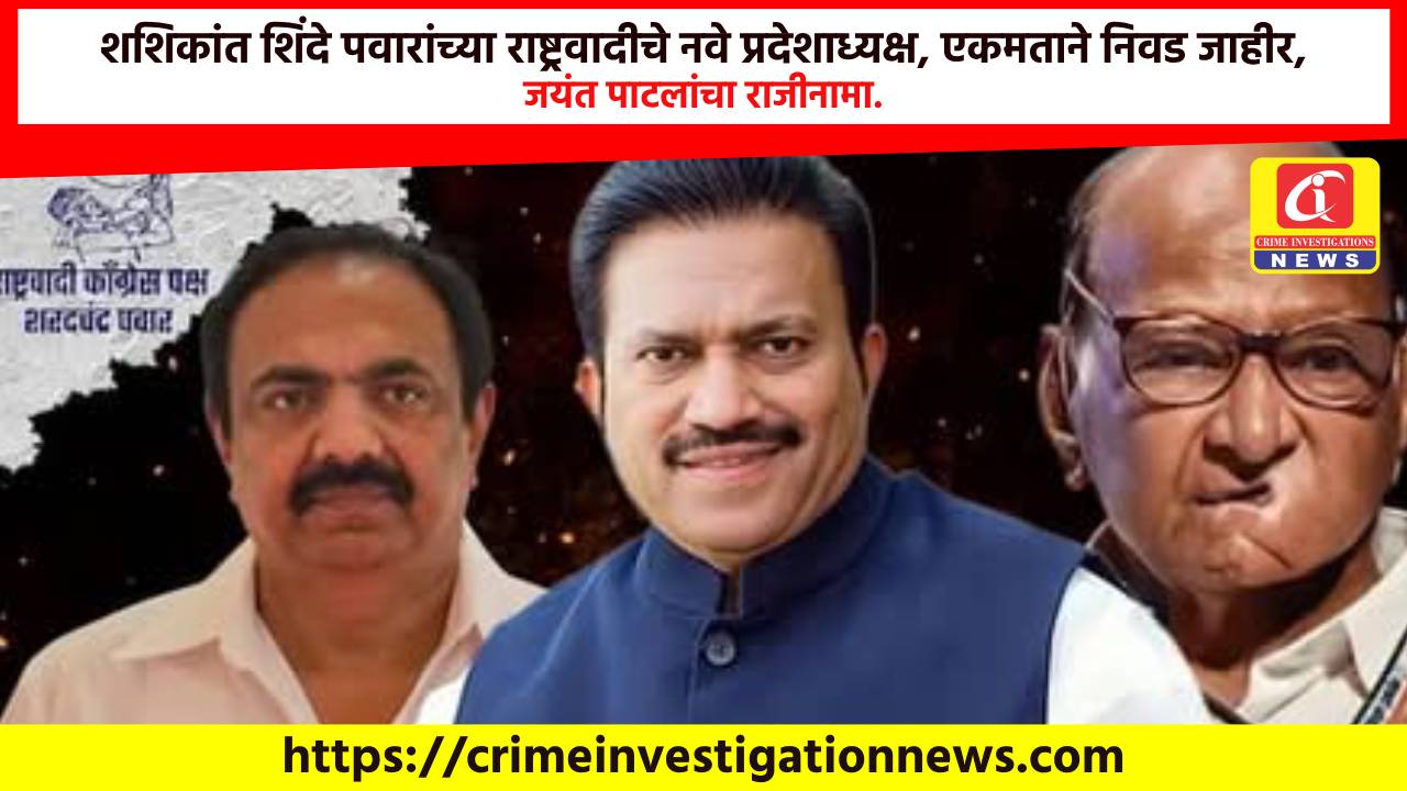 शशिकांत शिंदे पवारांच्या राष्ट्रवादीचे नवे प्रदेशाध्यक्ष, एकमताने निवड जाहीर, जयंत पाटलांचा राजीनामा.
